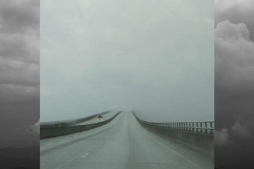 The Wedding Present / Going Going