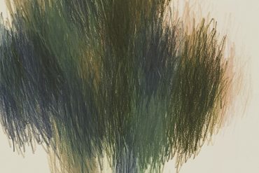 Shannon Wright - Division