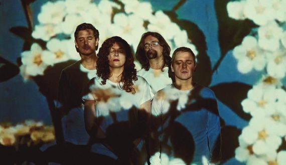 Modern Studies par Greig Jackson