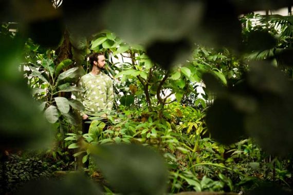 Ramo par Jeronimo Acero