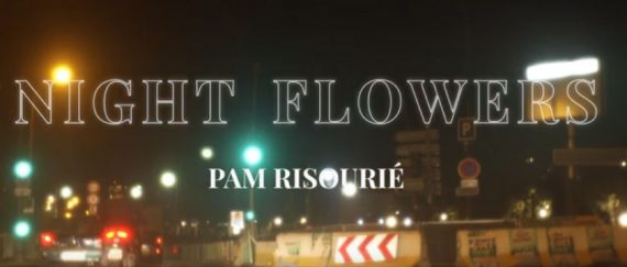 Pam Risourié - Night Flowers