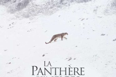 Nick Cave & Warren Ellis - La Panthère des Neiges