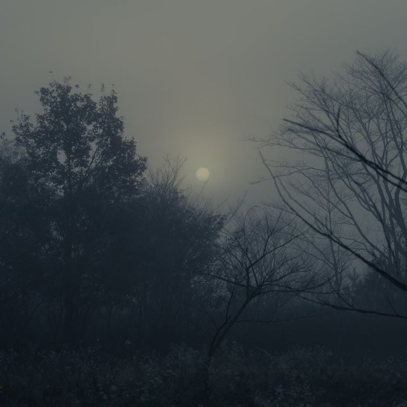 Itoko Toma - Beyond the Mountain