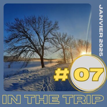 Playlist In The Trip #7