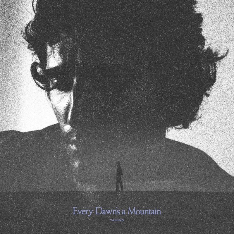 Tamino - Every Dawn's a Mountain