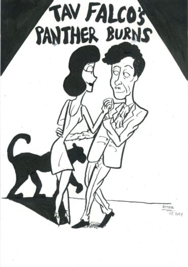 Tav Falco's Panther Burns par Imara