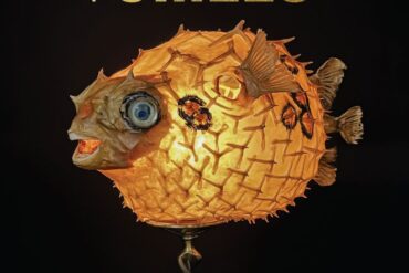 The Chills - Spring Board : The Early Unrecorded Songs