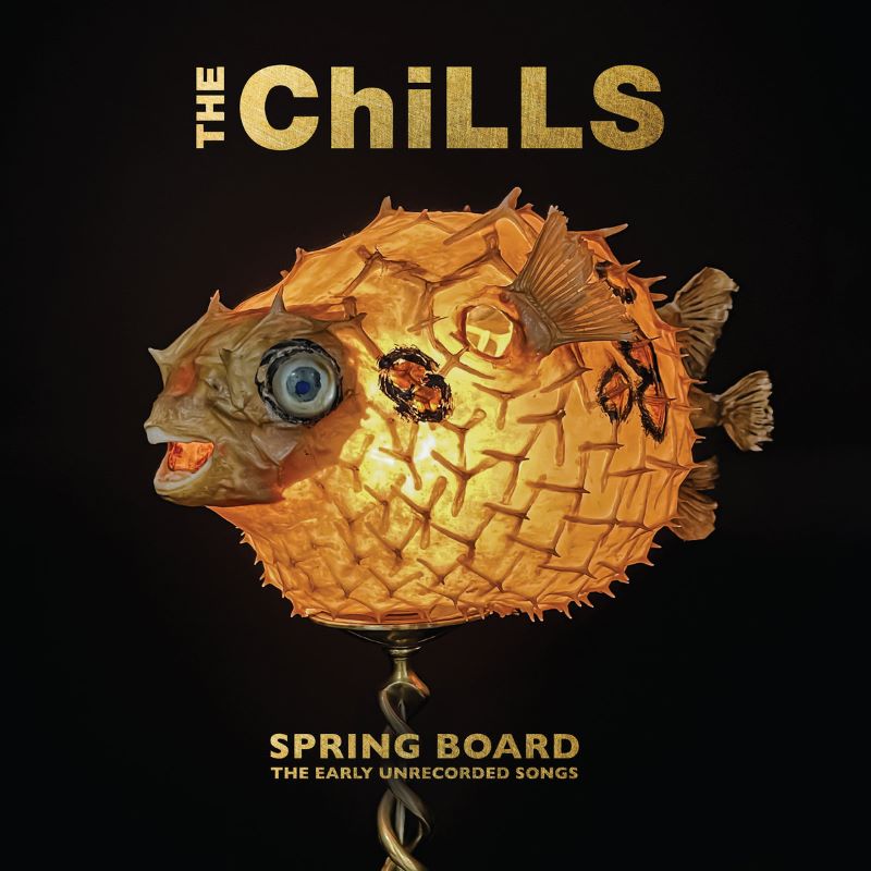 The Chills - Spring Board : The Early Unrecorded Songs