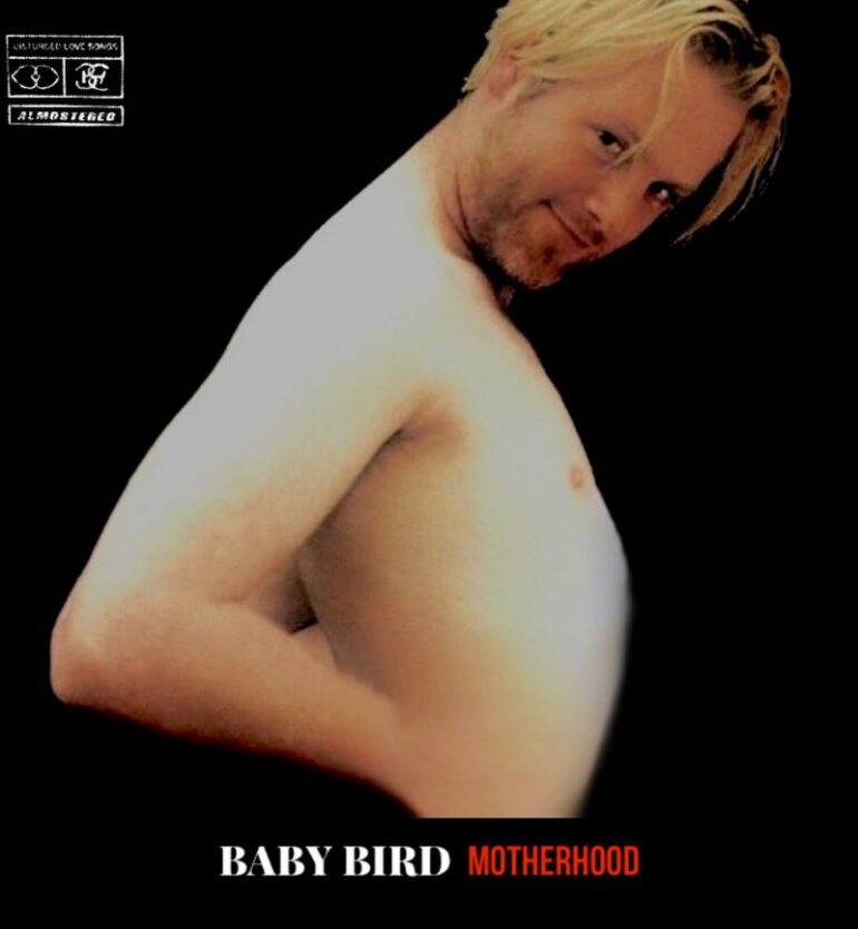 Babybird - Motherhood