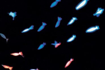 The Cure - Hot Hot Hot