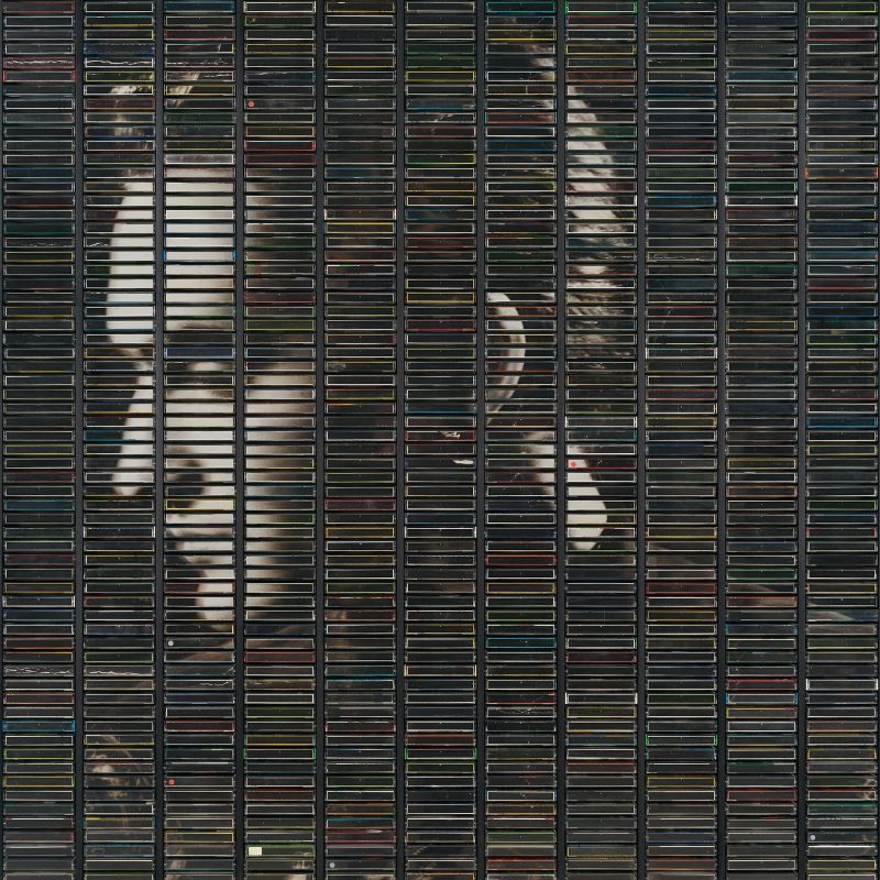 Stephan Eicher - Poussière d'Or