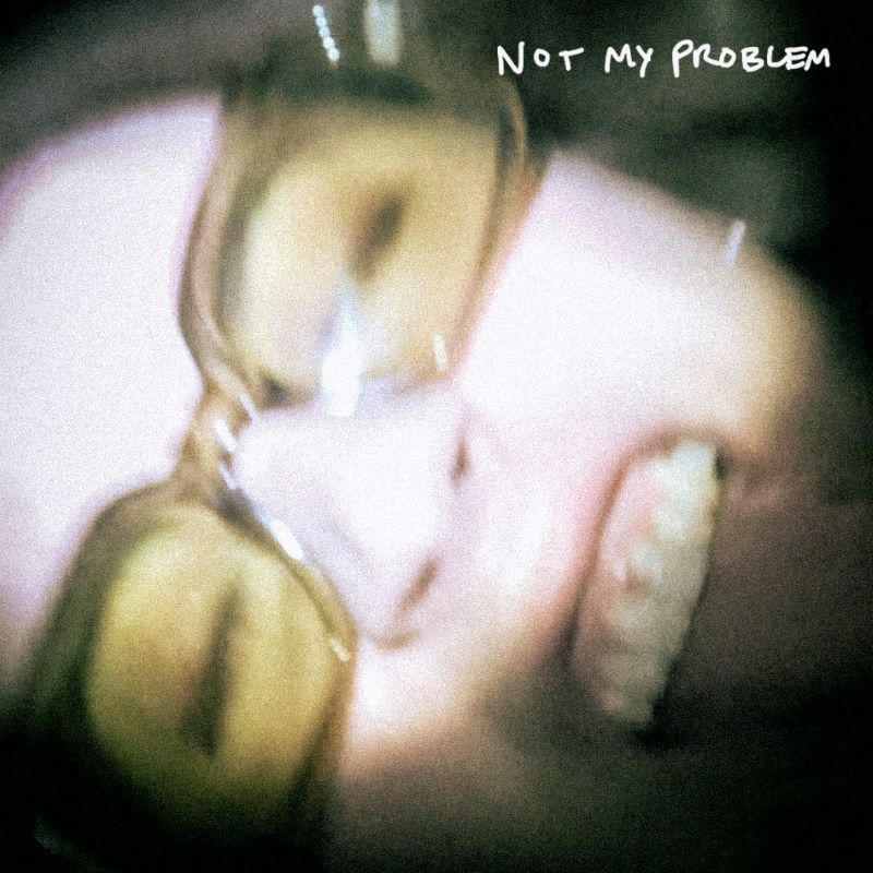 Les Shirley - Not my problem