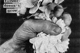 Softcult - When A Flower Doesn't Grow