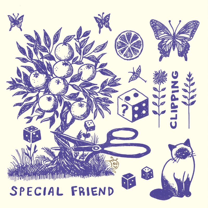 Special Friend – Clipping