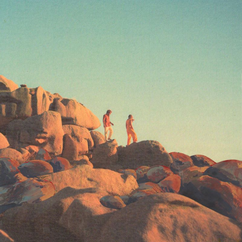 Coconut - Pour des grands