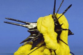 Butterfly Bulldozer - Cosmic Matters