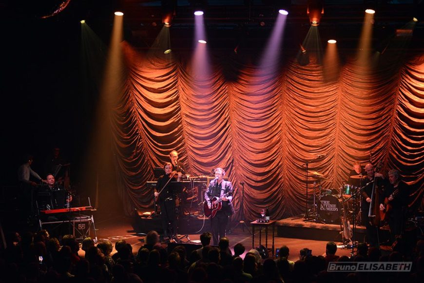The Divine Comedy - Rennes (Le Mem, mars 2026)