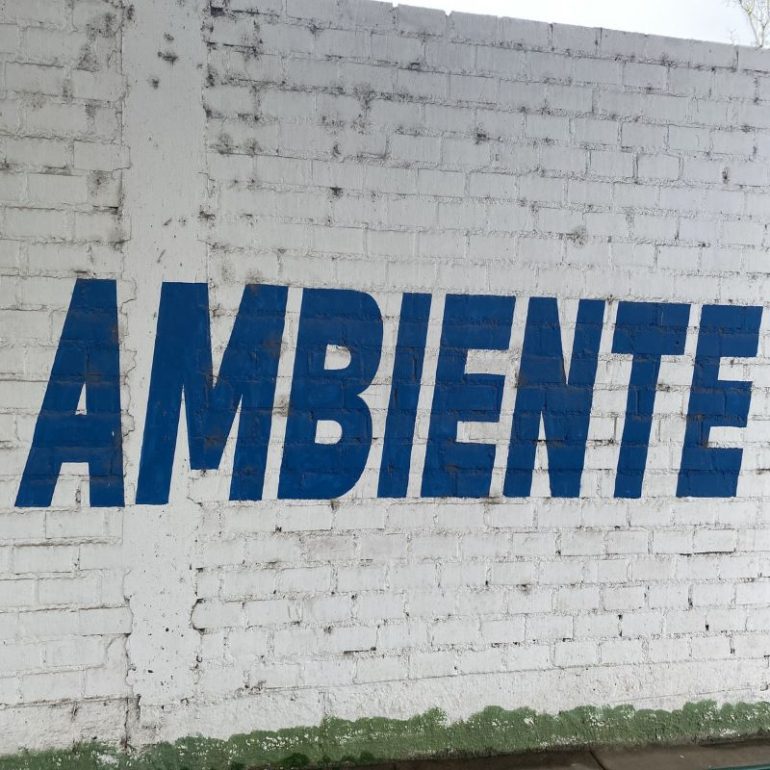 Jex Opolis - Ambiente