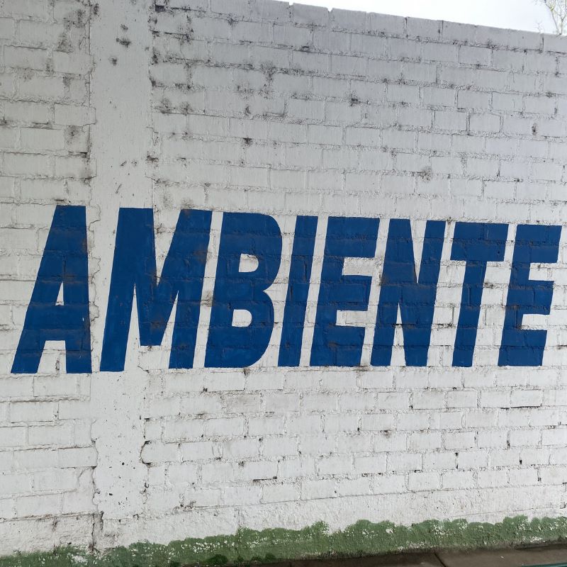 Jex Opolis - Ambiente