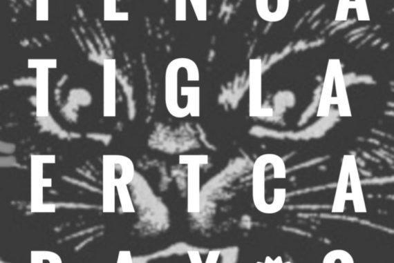 Calacas - Ten Tiger Trax LP
