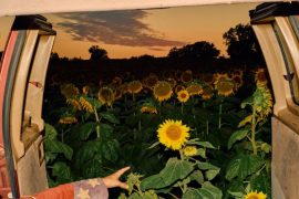 Kevin Morby - Little Wide Open