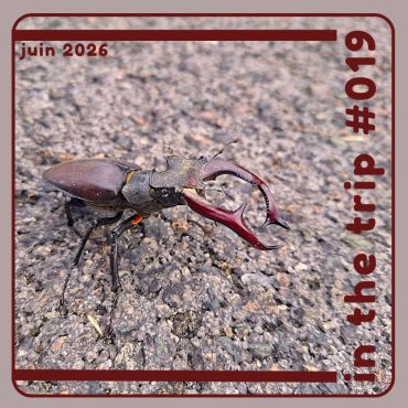Playlist In The Trip #19