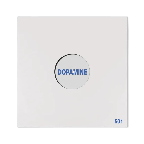 Fontaines D.C. - Dopamine Chamber