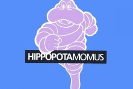 Hippopotamomus