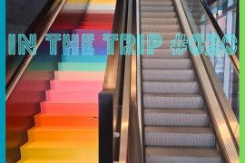 In the trip #20