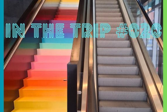 In the trip #20